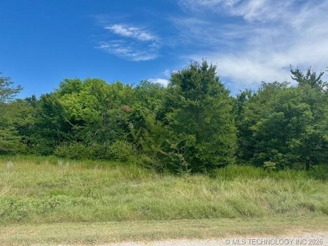 Land for sale in Kingston, Marshall County