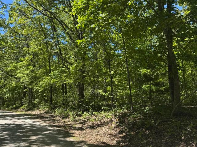 Land for sale in Ava, Missouri