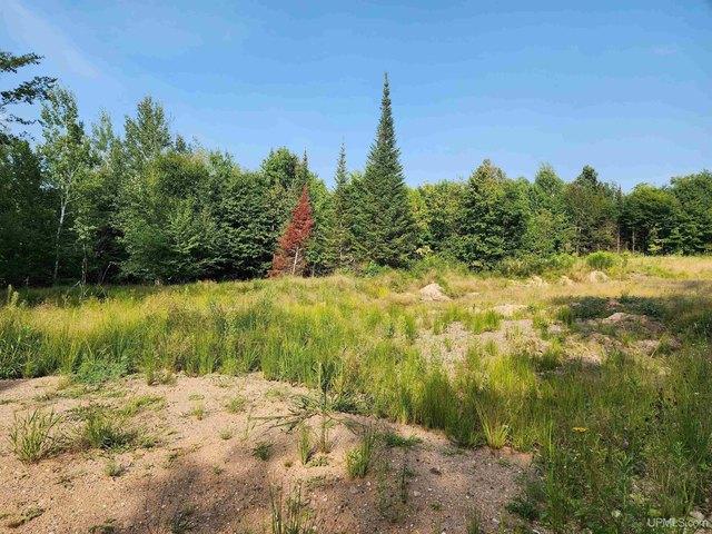 Land for sale in Skandia, Michigan
