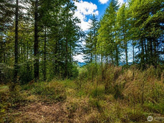 Land for sale in Chehalis, Washington