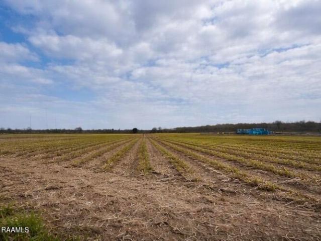 Land for sale in Franklin, Louisiana