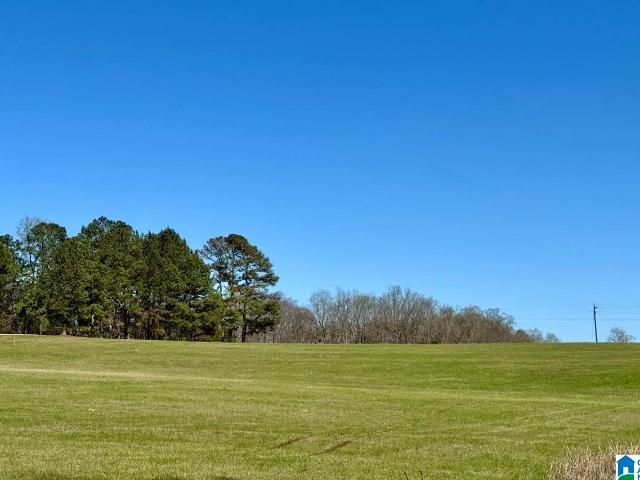 Land for sale in Roanoke, Alabama
