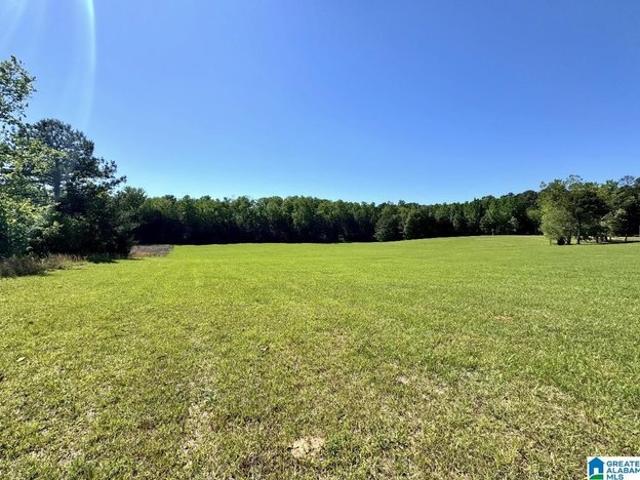 Land for sale in Roanoke, Alabama