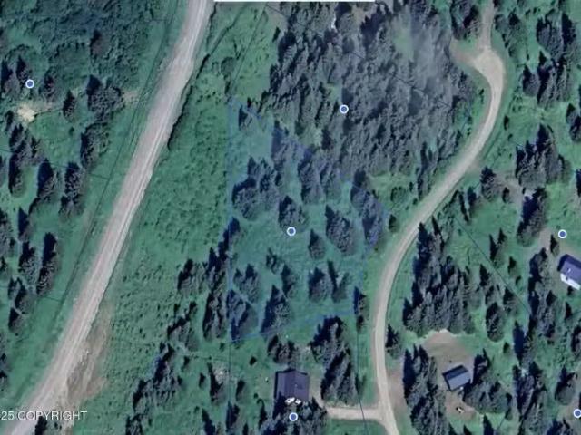 House for sale in Homer