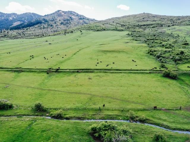 Farm for sale in Preston, Idaho