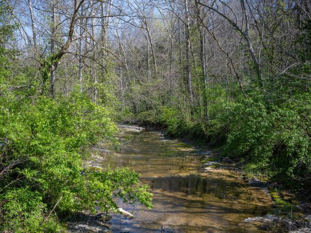 Land for sale in Garrard, Kentucky