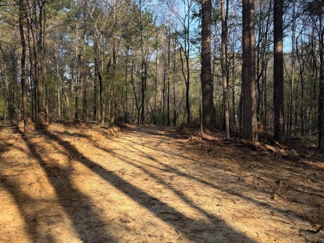 Land for sale in Grenada, Mississippi