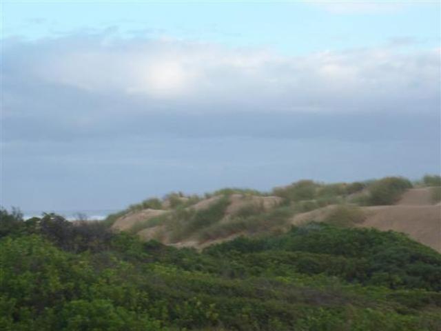 Land for sale in Cape St Francis, Eastern Cape