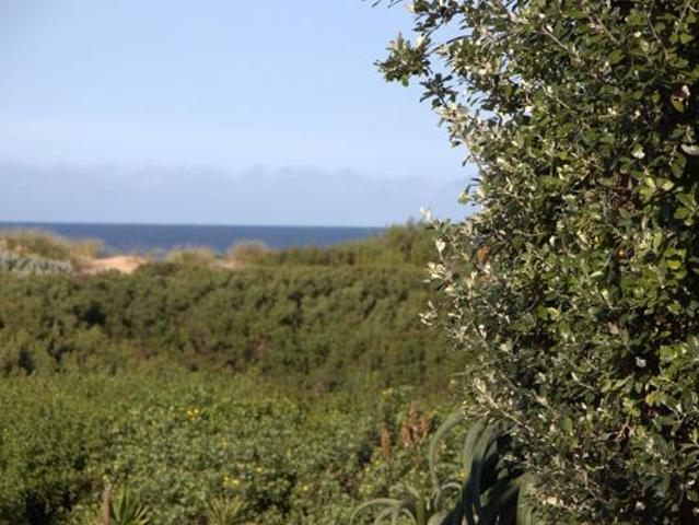 Land for sale in Cape St Francis, Eastern Cape