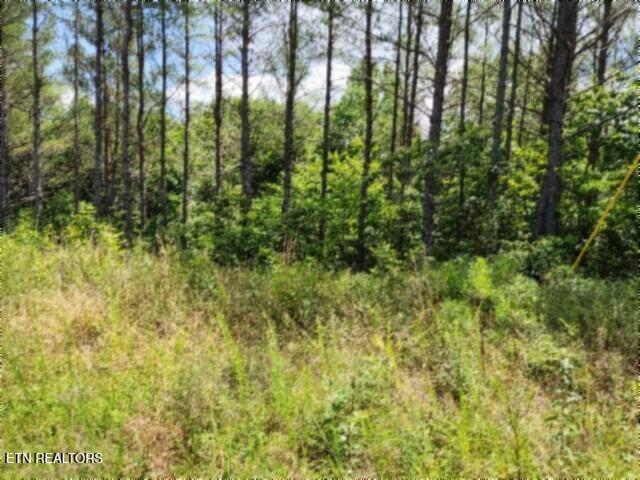 Land for sale in Tennessee