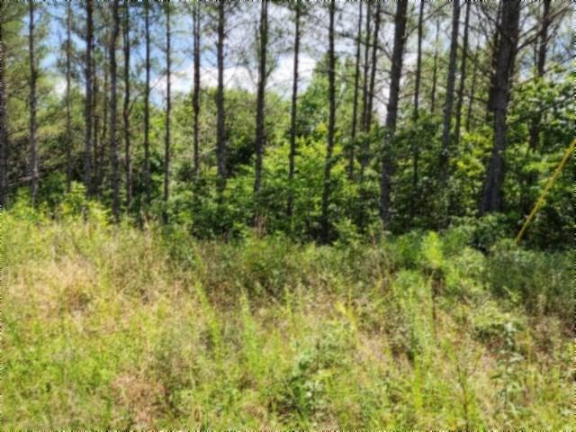 Land for sale in Tennessee