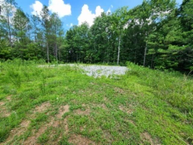 Land for sale in Tennessee
