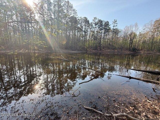 Land for sale in Grenada, Mississippi