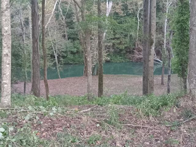 Land for sale in Tennessee