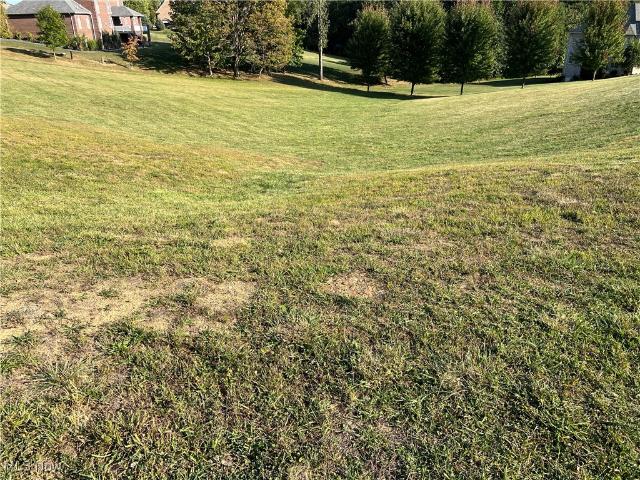 Land for sale in Belmont, Ohio