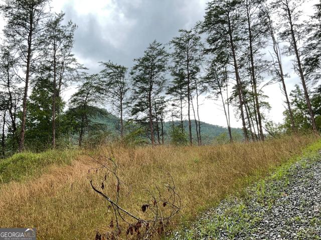 Land for sale in North Carolina