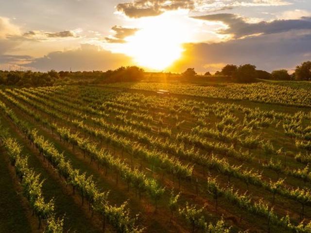 Land for sale in Dublin, Erath County