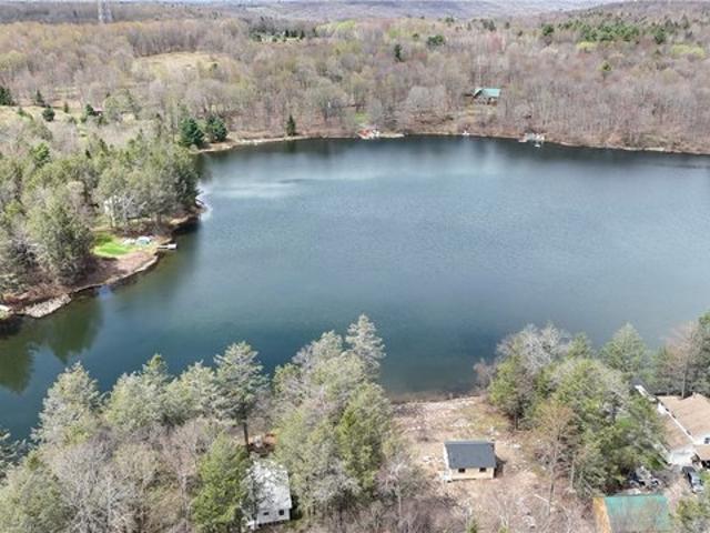 Land for sale in East Branch, New York