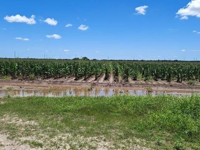 Land for sale in Cameron, Texas