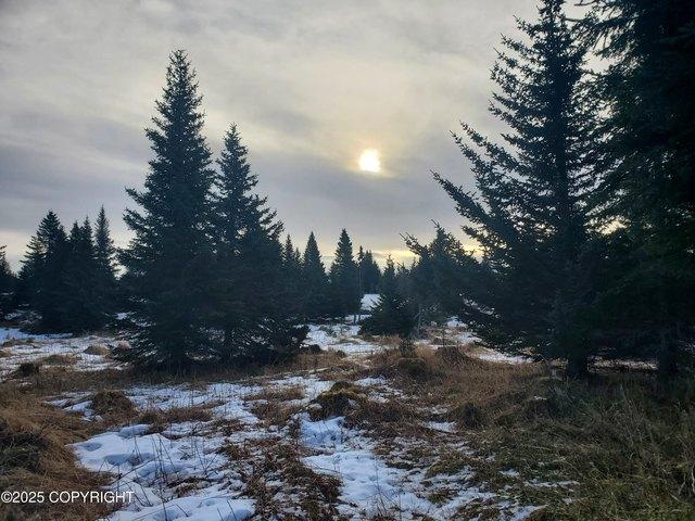 Land for sale in Ninilchik, Alaska