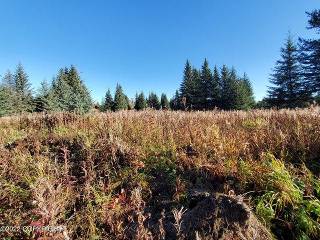Land for sale in Ninilchik