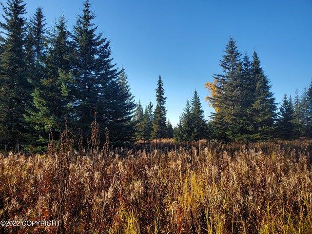 Land for sale in Ninilchik