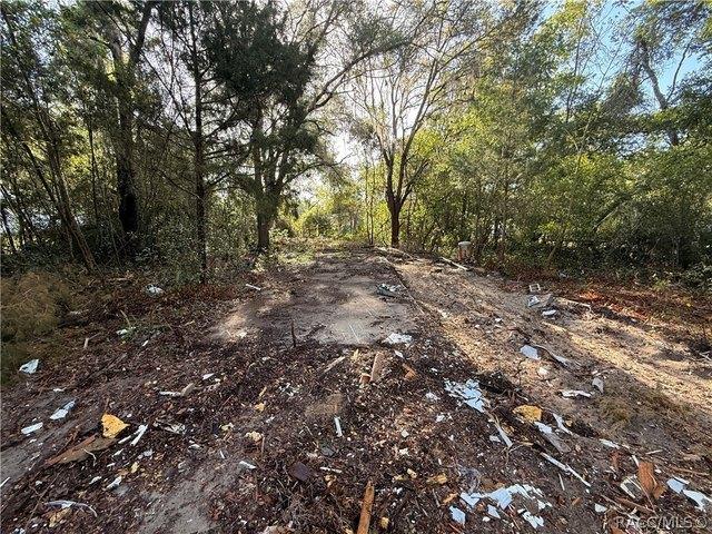 Land for sale in Hernando, Florida