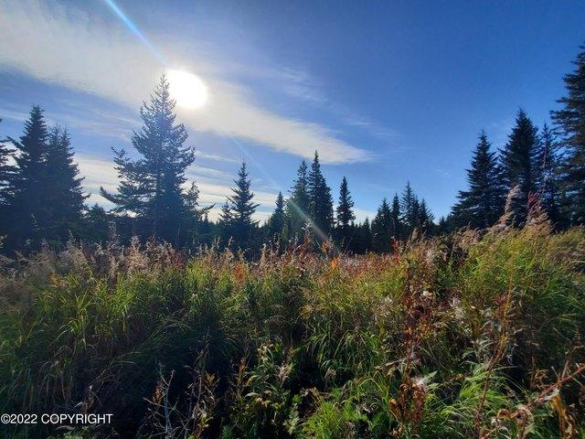 Land for sale in Ninilchik, Alaska