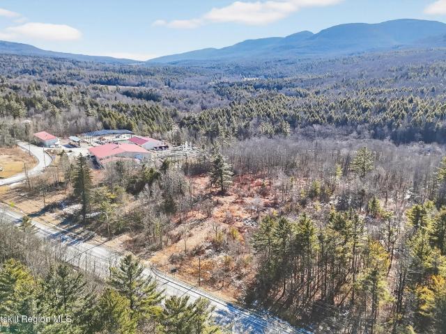 Land for sale in East Jewett, New York