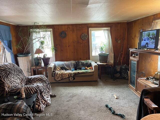 House for sale in Acra, New York
