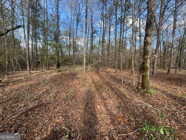 Land for sale in Talbot, Georgia