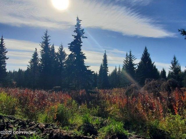 Land for sale in Ninilchik
