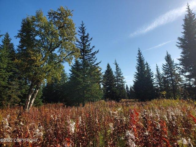 Land for sale in Ninilchik