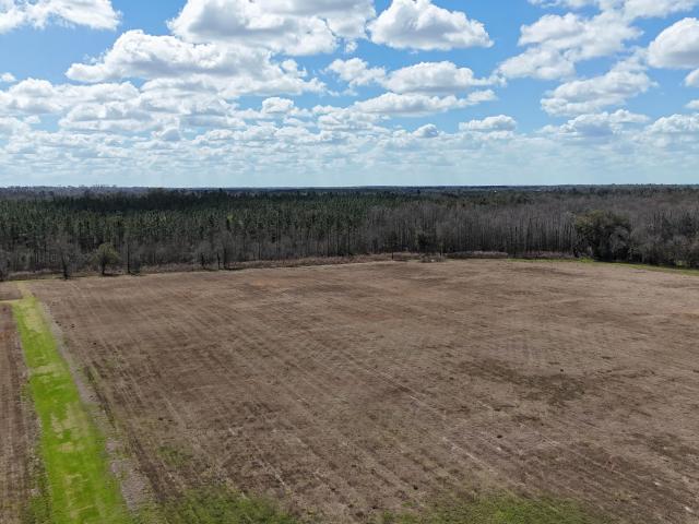 Property for sale in Florida