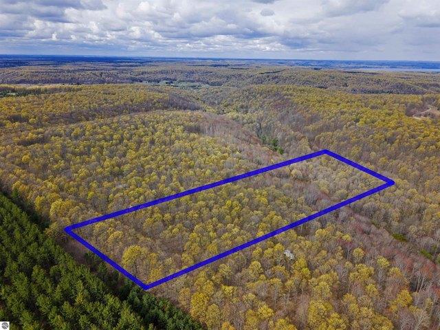 Land for sale in Alden, Michigan
