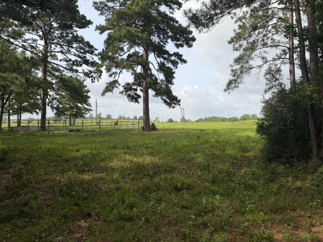 Land for sale in Grimes, Texas