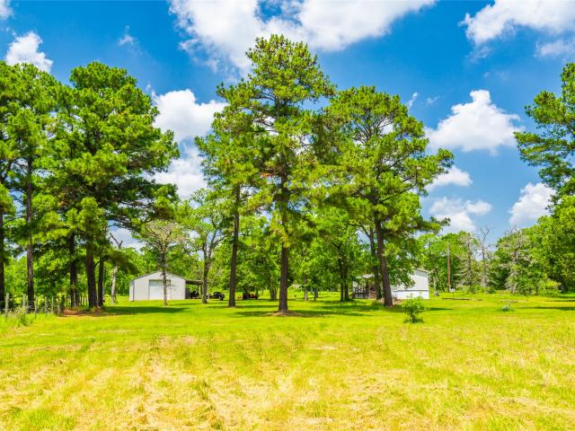Land for sale in Smithville, Texas