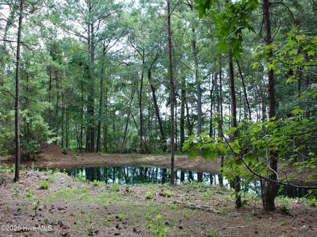 Land for sale in Ocean Isle Beach, North Carolina