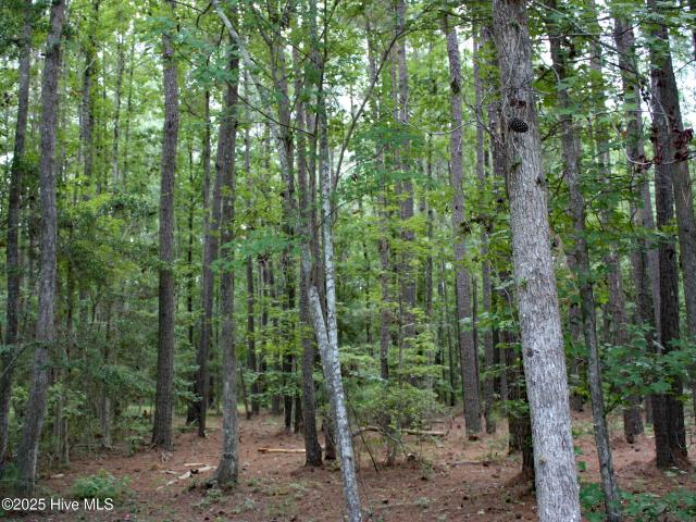 Land for sale in Ocean Isle Beach, North Carolina