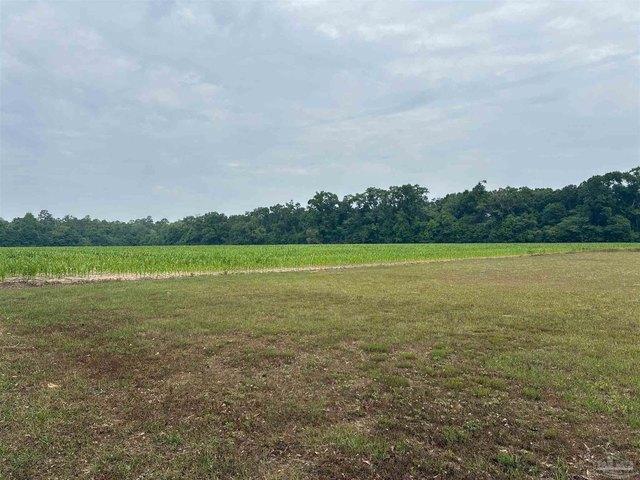 Land for sale in Milton, Florida