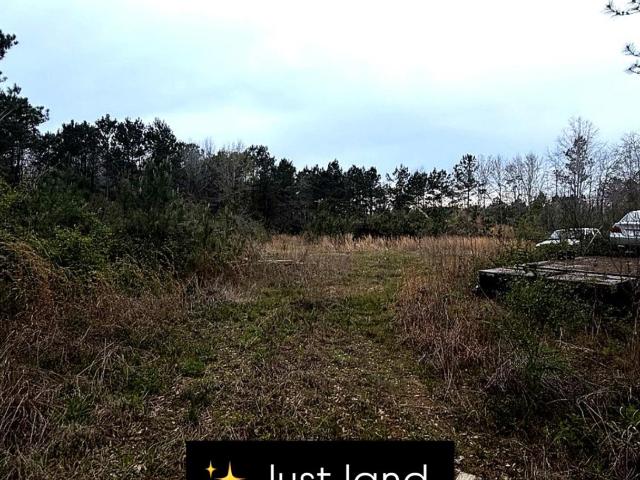 Land for sale in Kountze, Texas