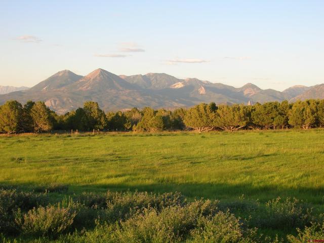 Land for sale in Crawford, Colorado