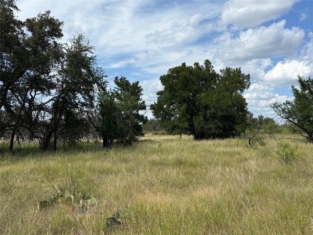 Land for sale in Brownwood, Texas