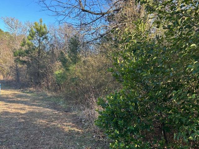 Land for sale in Baldwin, Georgia