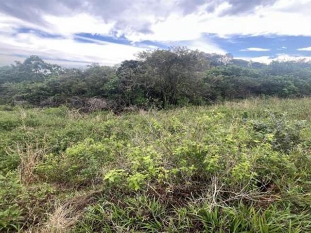 Land for sale in Princess Grant, Kwazulu-natal