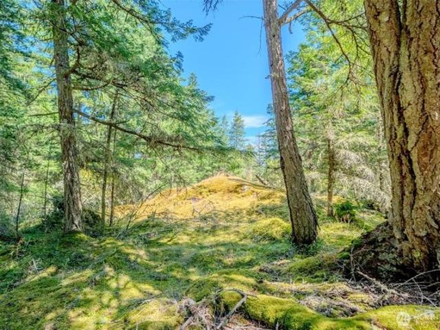 Land for sale in Orcas, Washington