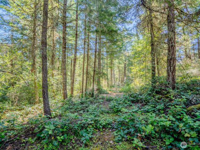 Land for sale in Eastsound, Washington