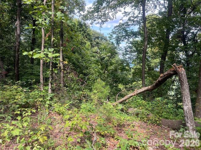 Land for sale in Morganton, Burke County