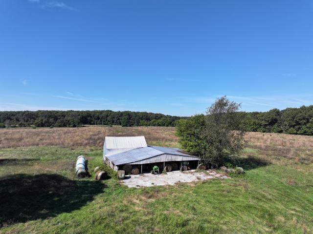 Land for sale in North Judson, Starke County