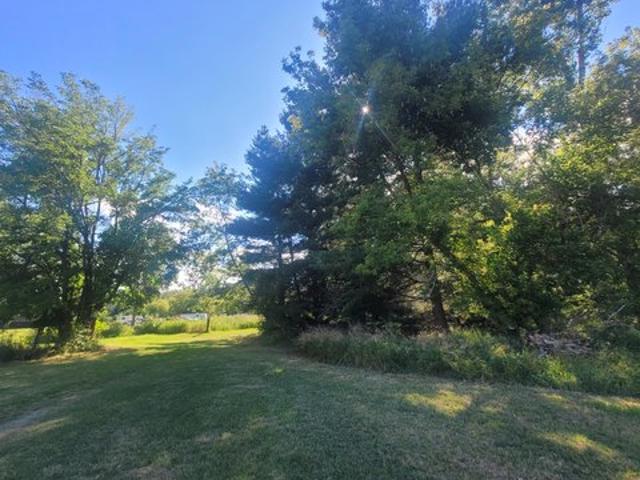 Land for sale in Rollin, Michigan